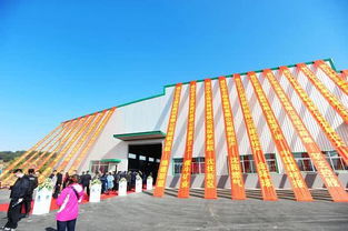 綠色建材引領建筑未來,遼寧罕王綠色建材項目竣工